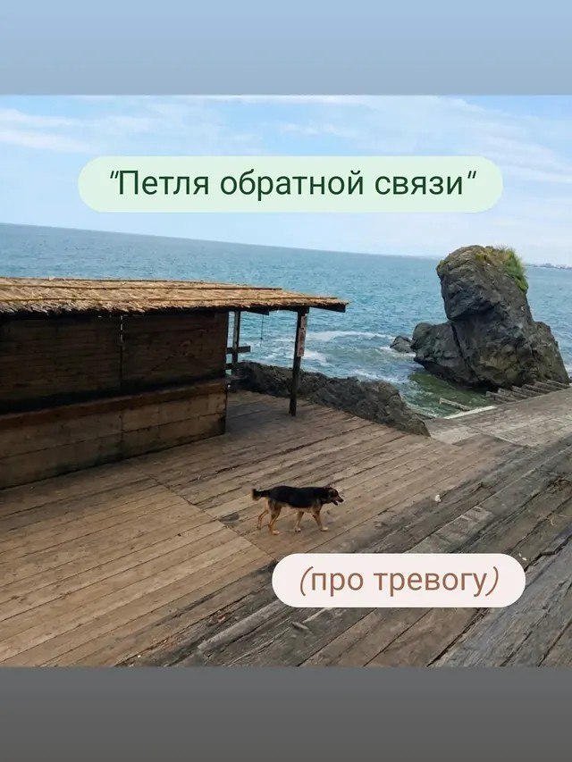 Елена - психолог