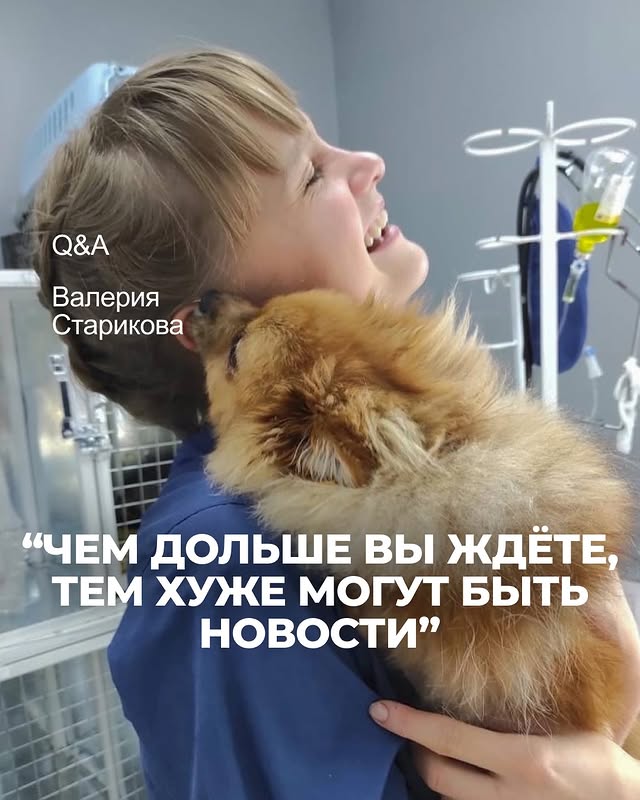 Stark - ветеринарная клиника и груминг