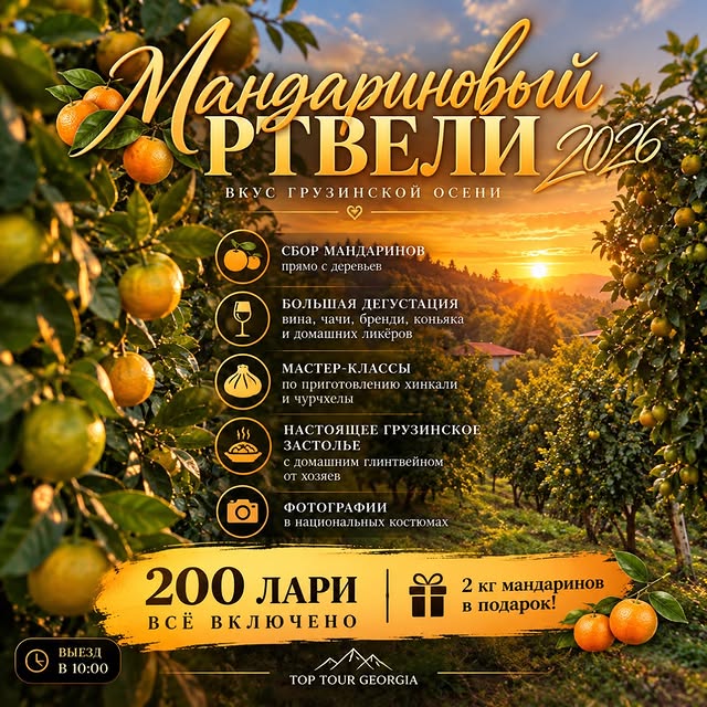 Top Tour Georgia - туры по Грузии