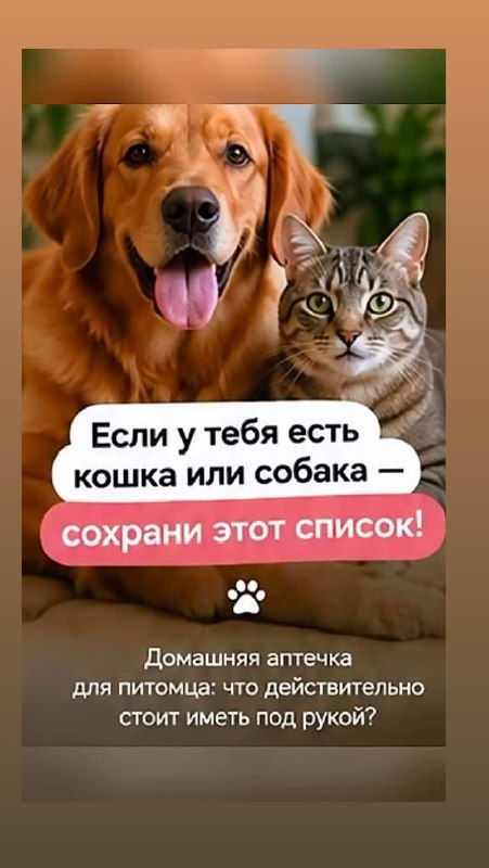 Юлия Коростелёва - ветеринар на дом