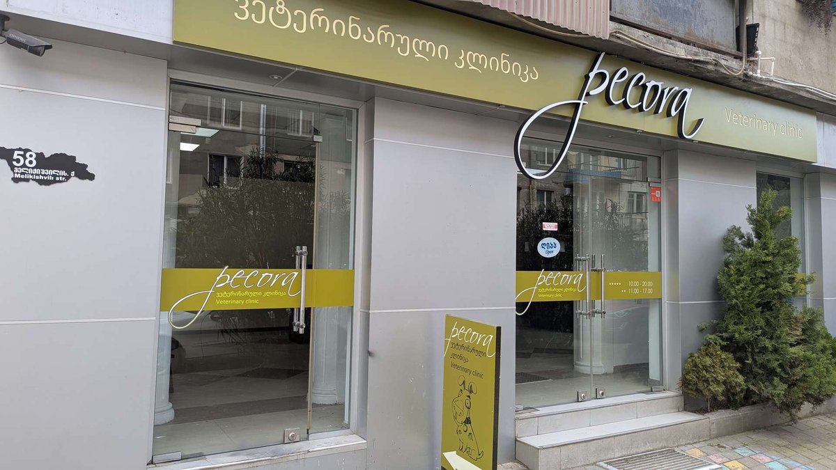Pecora - ветеринарная клиника