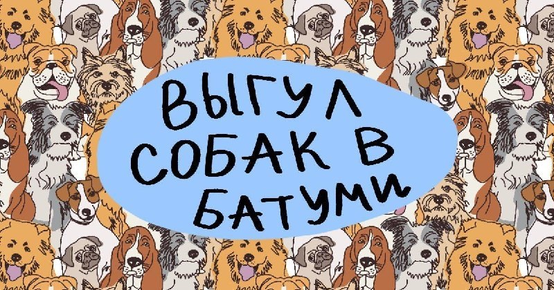 Лана - зооняня и выгул собак