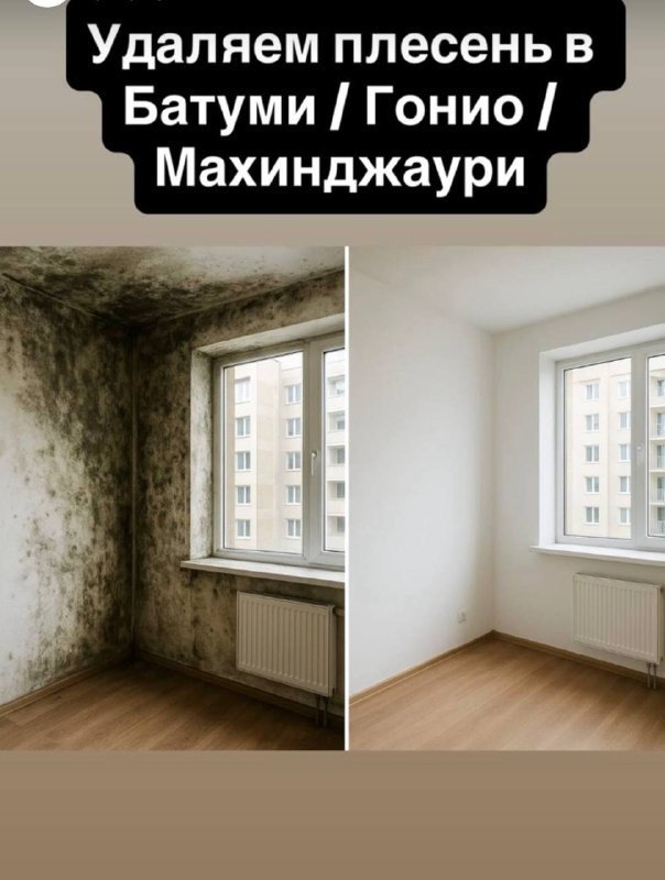 Denis Clean - химчистка и уборка