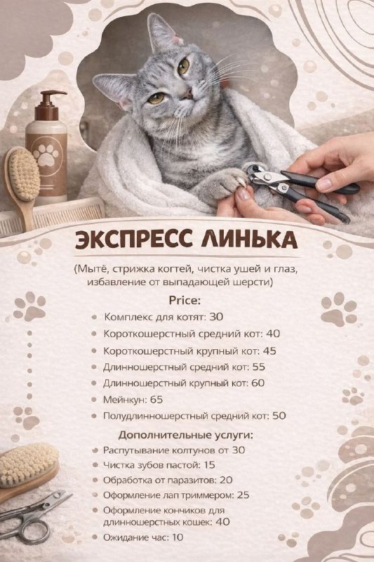 Мягкие лапки - груминг котов на дому
