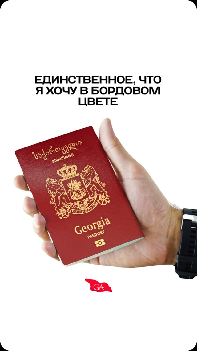 Georgia Assistant - документы, ВНЖ и бизнес