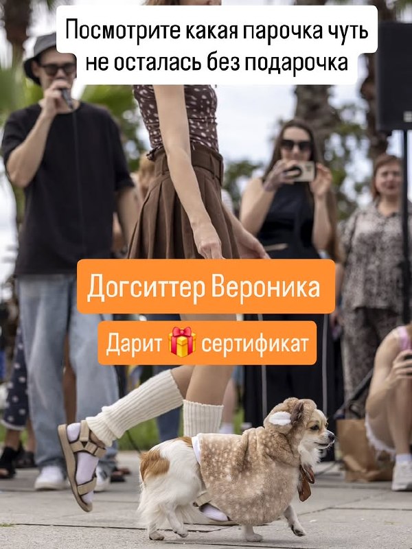 Вероника - петситтеры