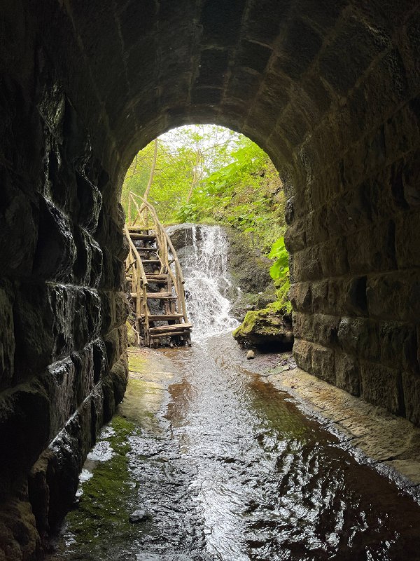 Алина - хайкинг и поездки по Грузии