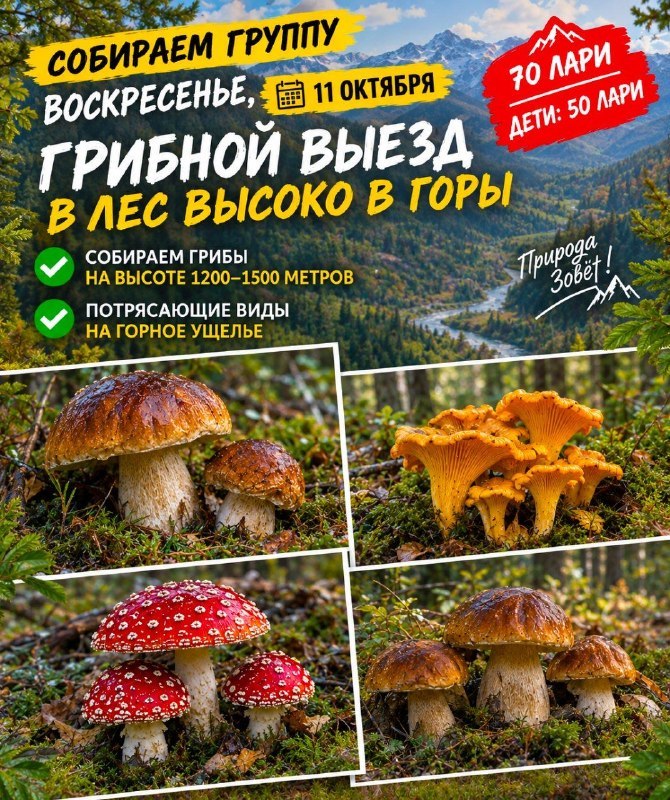 Поездки из Батуми в горы