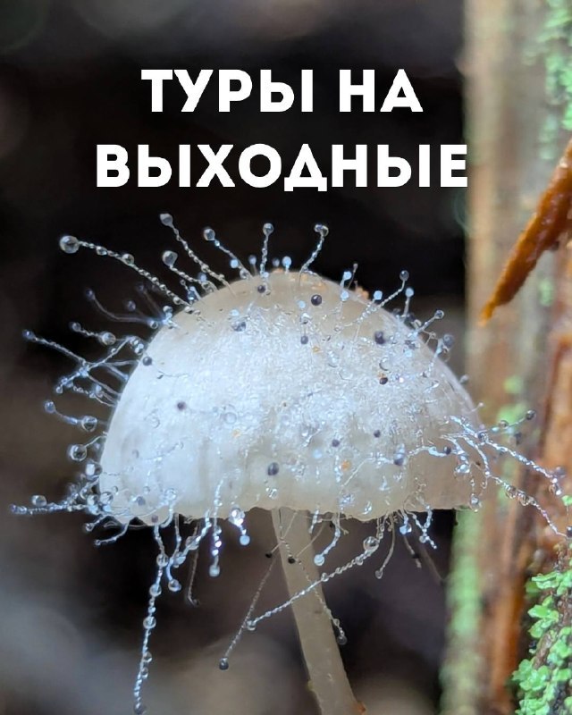 Take and Hike - походы и прокат снаряжения