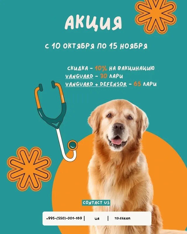 Евроветсервис - ветклиника и груминг
