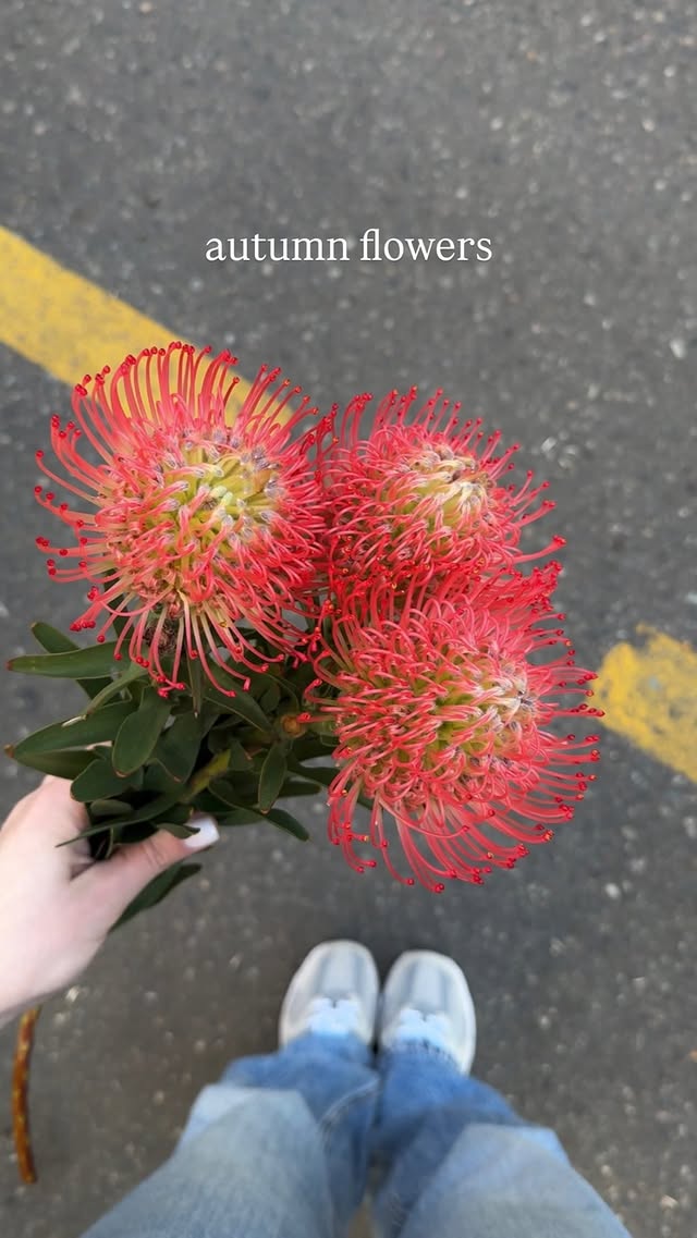 Flowers Batumi - цветы и клубника в шоколаде
